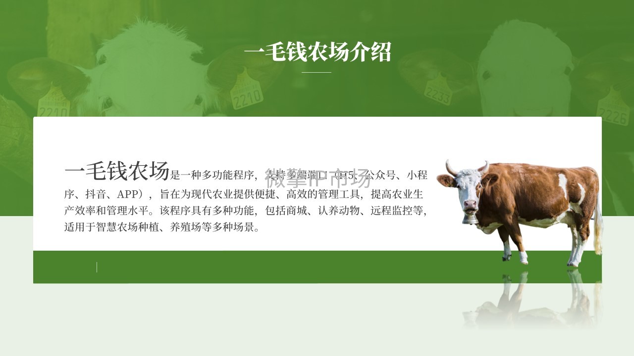 幻灯片4.jpg